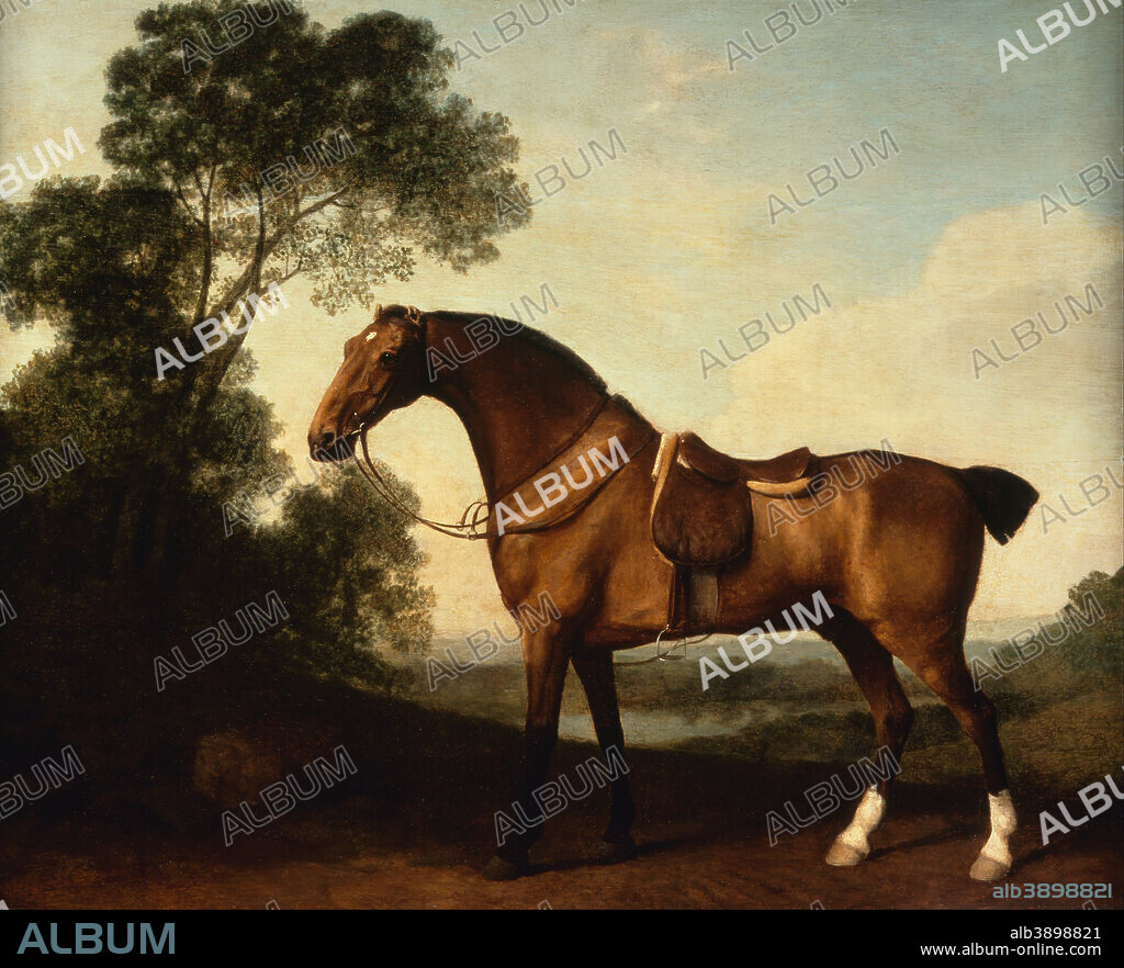GEORGE STUBBS. A Saddled Bay Hunter. Date/Period: 1786. Painting. Oil paint on panel. Height: 552.45 mm (21.75 in); Width: 704.85 mm (27.75 in).