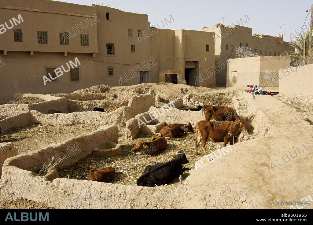Ksar de Goulmima (Goulmina) .Marruecos.