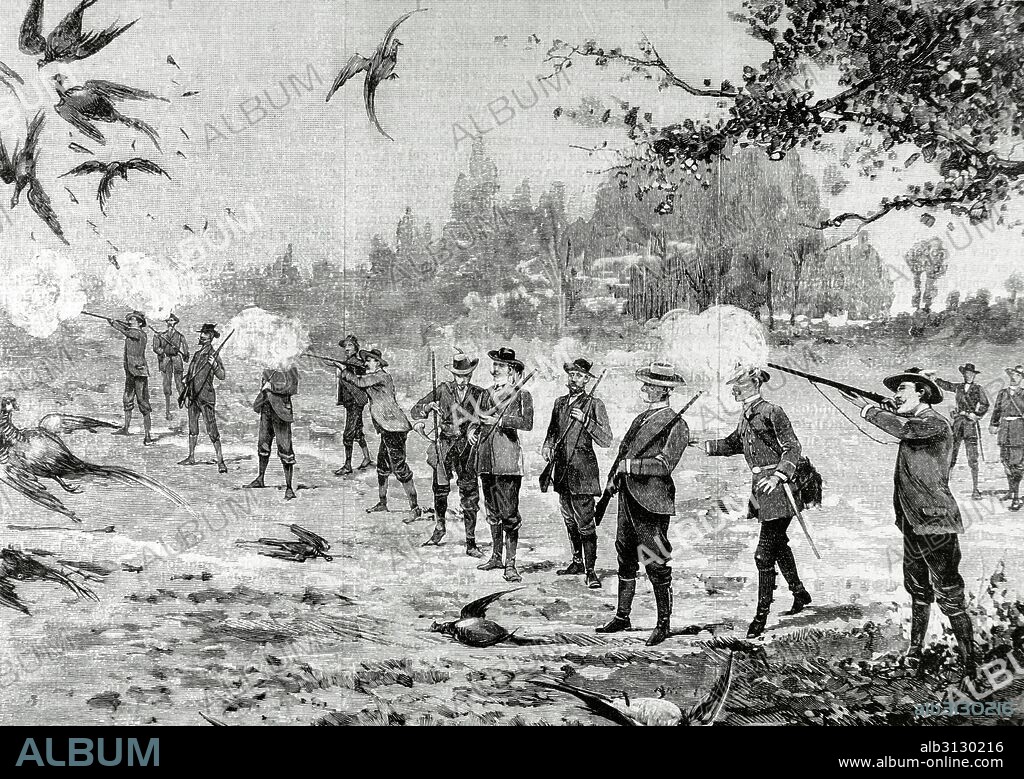 Italia, Monza. Cacería de SS. MM el emperdor de Alemania Guillermo II (1859-1941) y el rey de Italia Victor Manuel III (1869-1917) en el parque del Palacio Real". Grabado por Rico. La Ilustración Española y Americana, 1889.