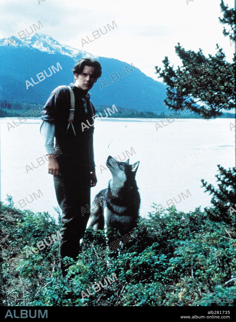 ETHAN HAWKE dans WHITE FANG, 1991, réalisé par RANDAL KLEISER. Copyright TOUCHSTONE PICTURES.