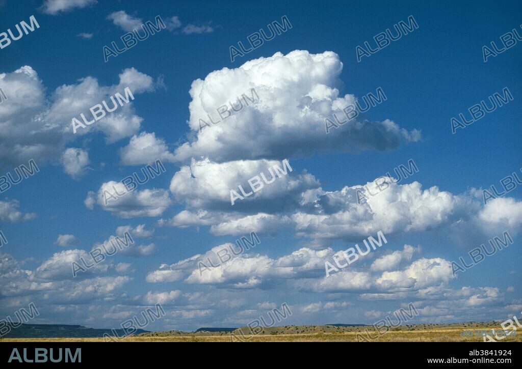 Cumulus humilis clouds.