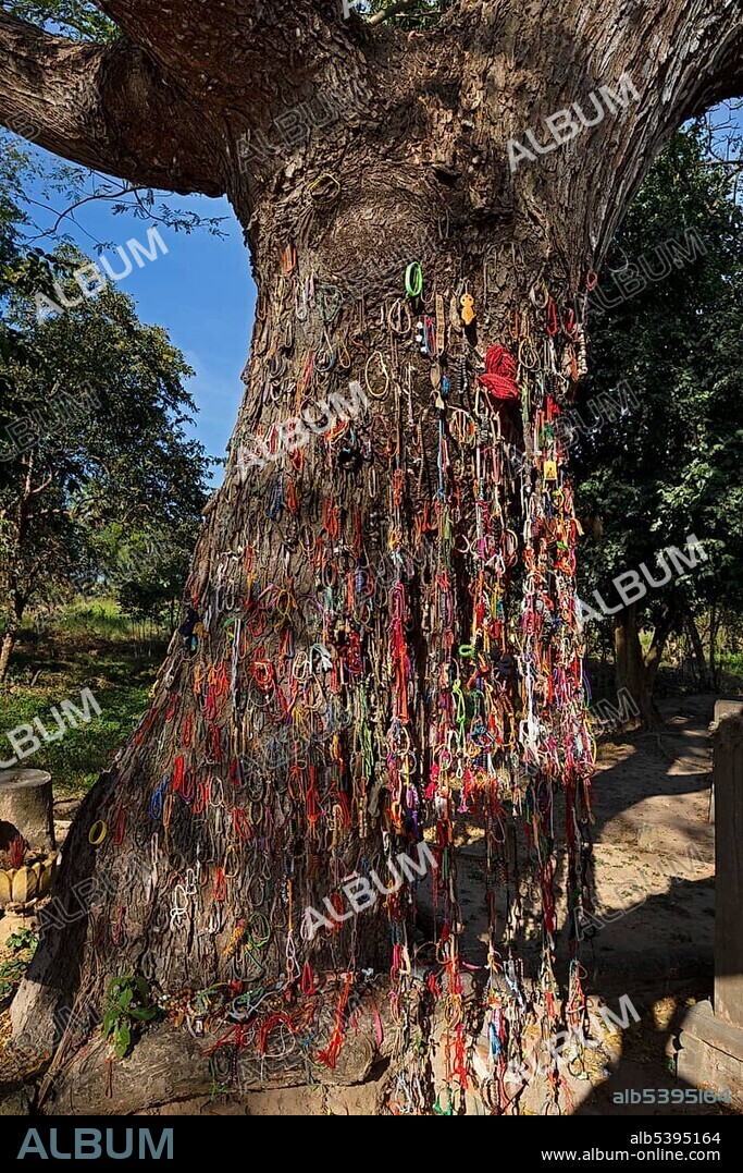 Killing Tree with bracelets in memory of killed children, Killing Fields of the Khmer Rouge, Choeung Ek, Phnom Penh, Cambodia, Asia.