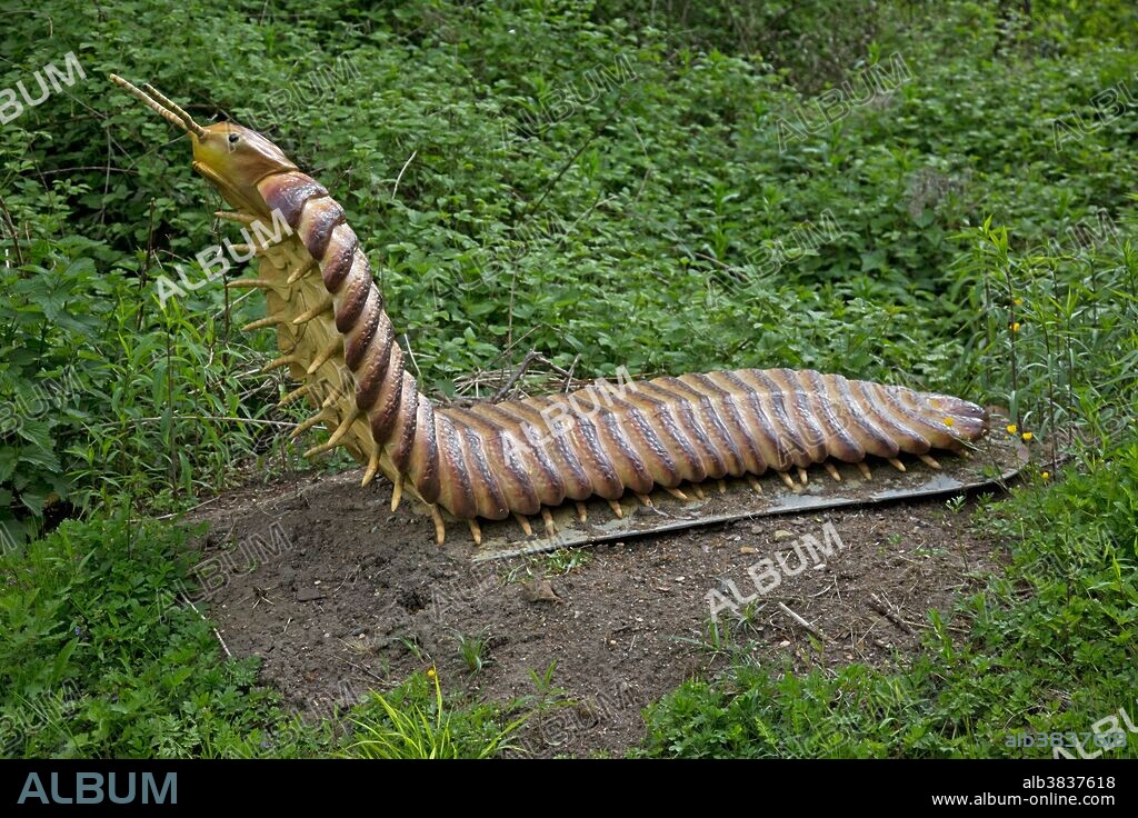 Arthropleura is an extinct giant fossil millipede from the Upper Carboniferous Period, seen here in Dinosaurier Park, Munchehagen, Germany.