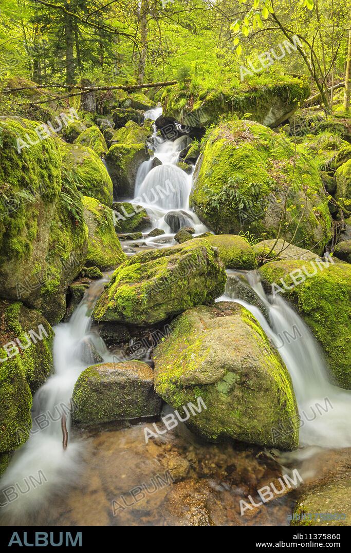 Gaisholl Waterfalls, Sasbachwalden, Black Forest, Baden-Wurttemberg, Germany, Europe.