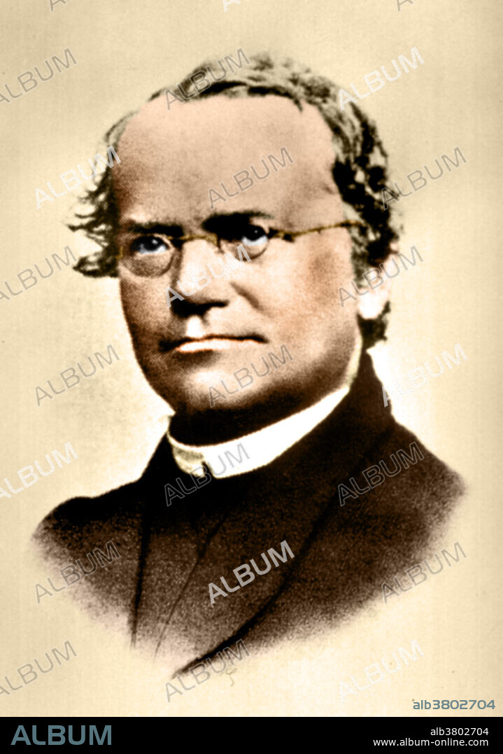 Gregor Johann Mendel (July 20, 1822 - January 6, 1884) was an Austrian scientist and Augustinian friar who gained posthumous fame as the founder of the new science of genetics. Mendel conducted experiments in a monastery in the 1860's with garden peas, working out the law of heredity based on factors (genes) that decide which characteristics are passed from parent to offspring. His documented work was entitled: Experiments with Plant Hybrids. Mendel had demonstrated that the inheritance of certain traits in pea plants follows particular patterns, now referred to as the laws of Mendelian inheritance. Although the significance of Mendel's work was not recognized until the turn of the 20th century, the independent rediscovery of these laws formed the foundation of the modern science of genetics. After he was elevated as abbot in 1868, his scientific work largely ended. Mendel died in 1884, at age 61, from chronic nephritis.
