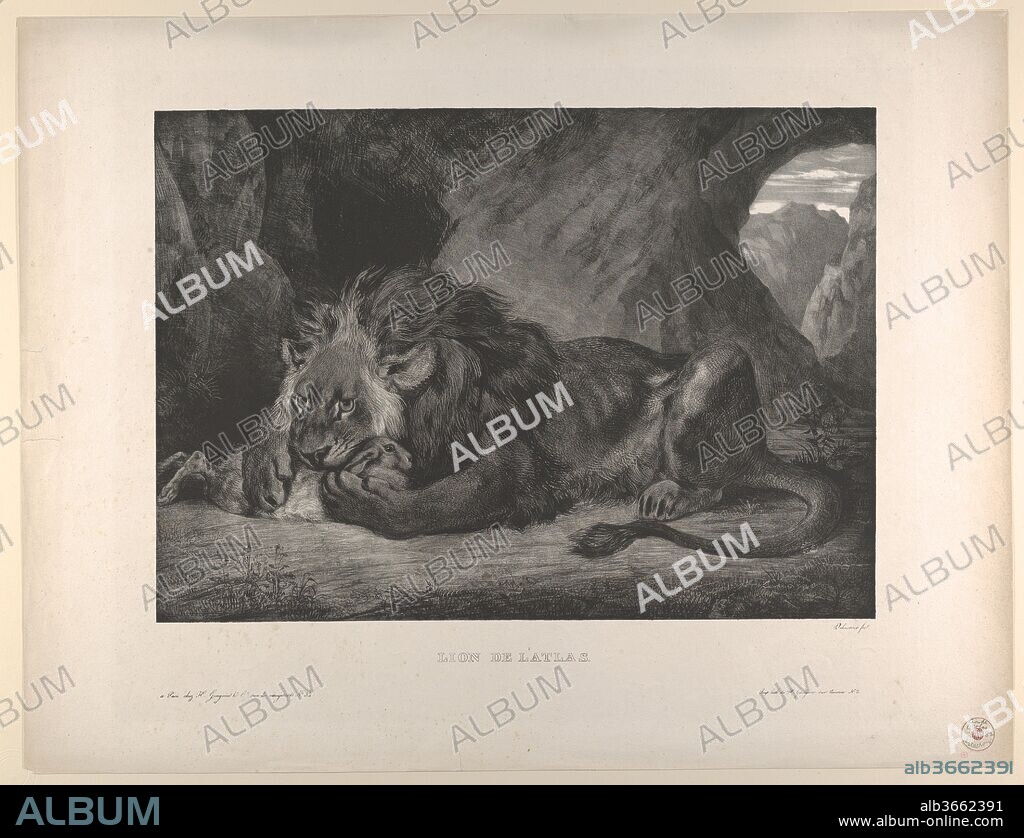 EUGENE DELACROIX. Lion of the Atlas Mountains. Artist: Eugène Delacroix (French, Charenton-Saint-Maurice 1798-1863 Paris). Dimensions: Image: 18 1/8 x 12 15/16 in. (46 x 32.8 cm)
Sheet: 25 1/8 x 19 in. (63.8 x 48.2 cm). Date: 1829-30.