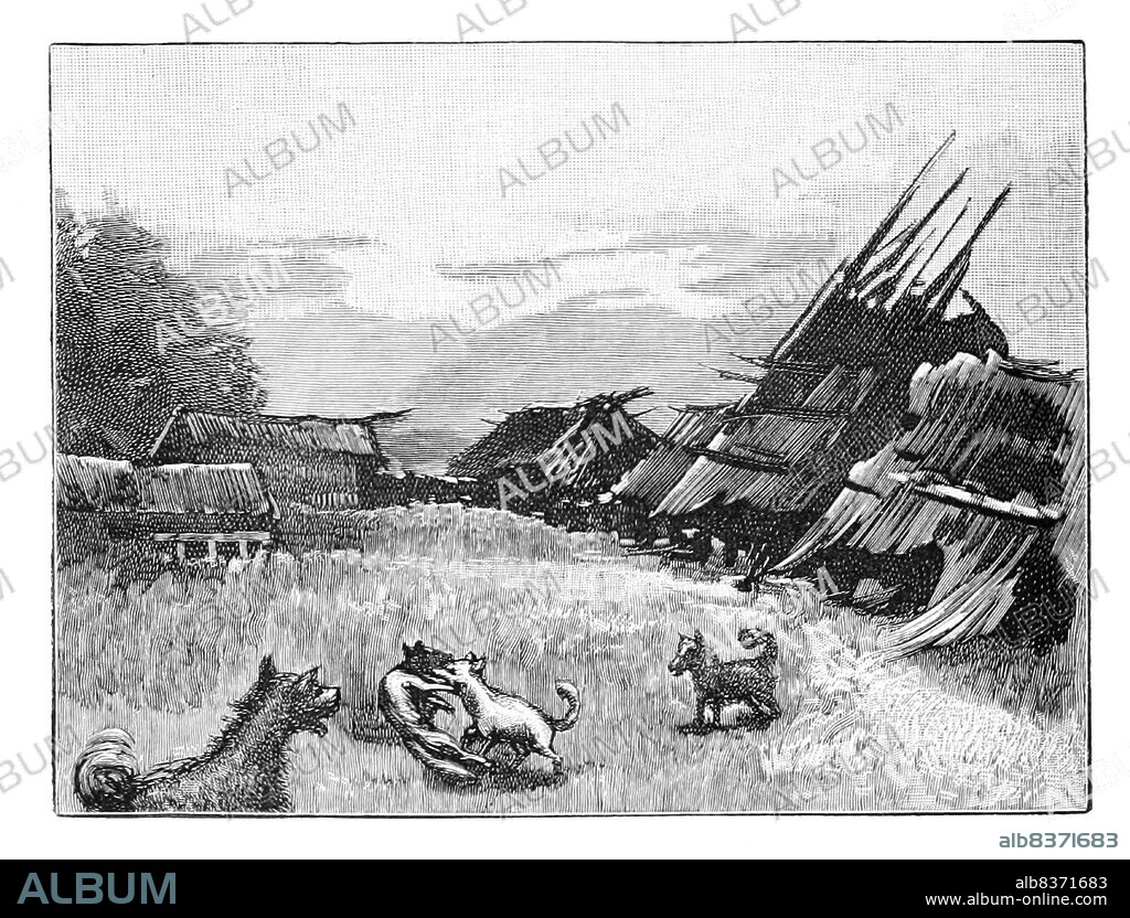 The Ainu or in historical Japanese texts Ezo, are an indigenous people of Japan (Hokkaido, and formerly northeastern Honshu) and Russia (Sakhalin and the Kuril Islands).<br/><br/>. Historically, they spoke the Ainu language and related varieties and lived in Hokkaid, the Kuril Islands, and much of Sakhalin. Most of those who identify themselves as Ainu still live in this same region, though the exact number of living Ainu is unknown. This is due to confusion over mixed heritages and to ethnic issues in Japan resulting in those with Ainu backgrounds hiding their identities.<br/><br/>. In Japan, because of intermarriage over many years with Japanese, the concept of a pure Ainu ethnic group is no longer feasible. Official estimates of the population are of around 25,000, while the unofficial number is upward of 200,000 people.