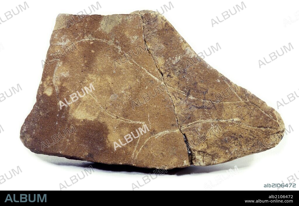 ARTE MUEBLE DEL PALEOLITICO SUPERIOR: PLACA O PLAQUETA DE PIEDRA CALIZA CON CIERVA GRABADA,DE LA CUEVA DE PARPALLO (DEPOSITO: MUSEO DE PREHISTORIA DE VALENCIA).
