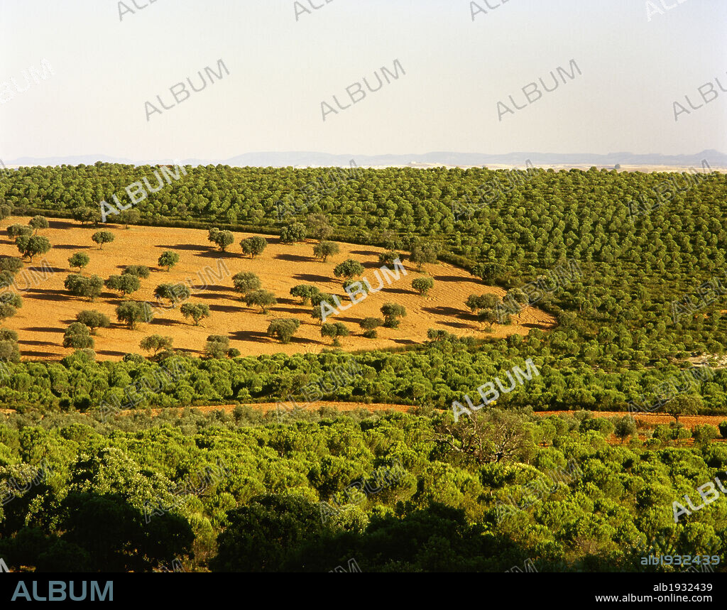 Extremadura. Panorámica del paisaje de la Comarca de La Serena, en dirección al Puerto de la Nava. Provincia de Badajoz. España.