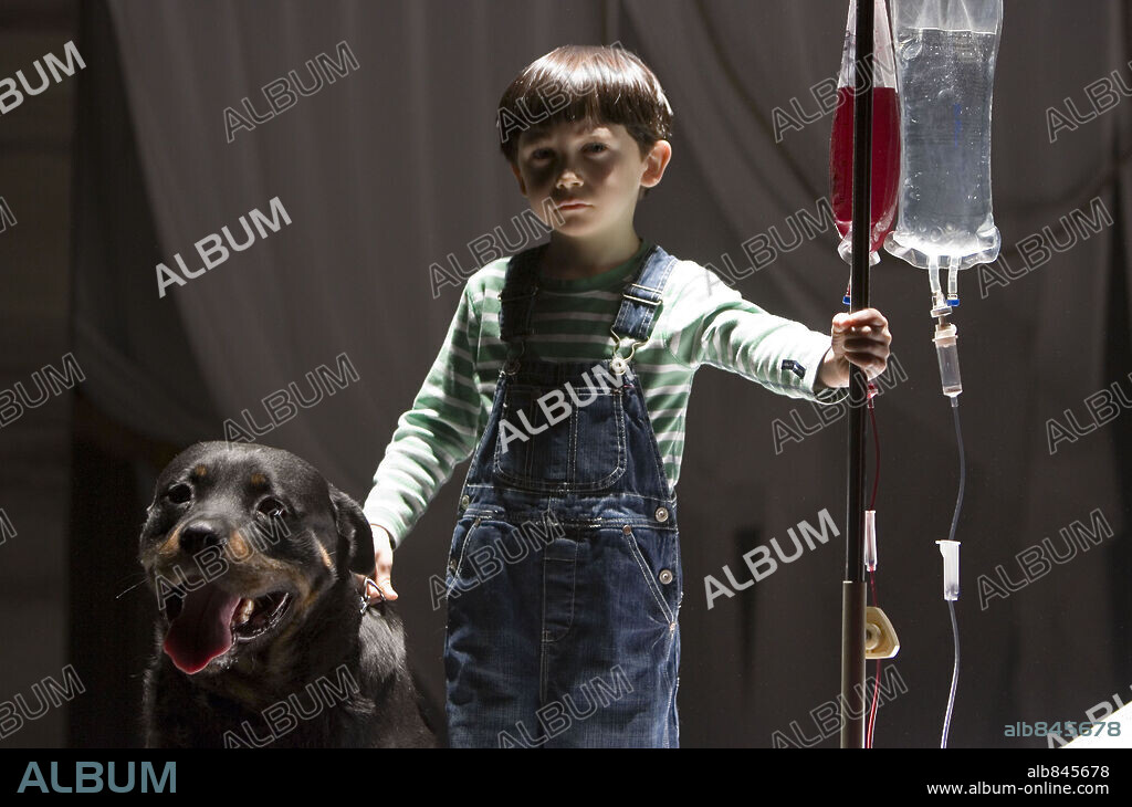 SEAMUS DAVEY-FITZPATRICK en LA PROFECÍA, 2006 (THE OMEN), dirigida por JOHN MOORE. Copyright VALITUTTI, VINCE.