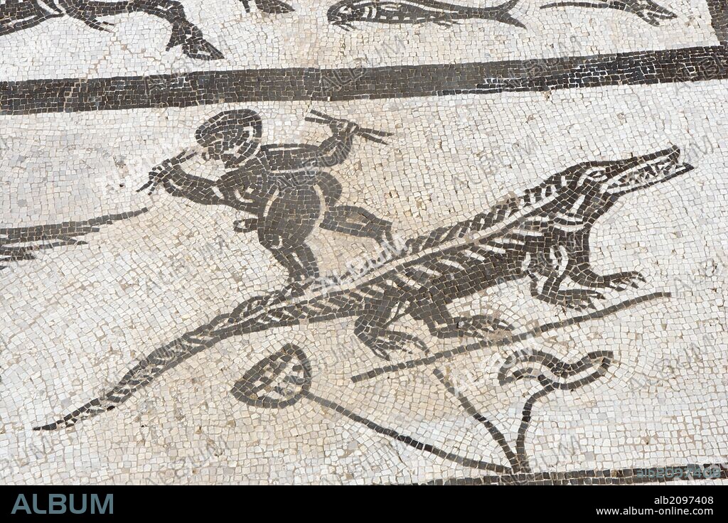 ARTE ROMANO. ESPAÑA. Conjunto Arqueológico de ITALICA. Ciudad romana que tiene sus orígenes en el año 206 aC. CASA NEPTUNO. Area termal. Zona fría o "frigidarium". Mosaico que da nombre a la casa. Se representa al dios Neptuno con su cortejo de criaturas marinas. Detalle pigmeo subido encima de la cola de un cocodrilo. Alrededores de Santiponce. Provincia de Sevilla. Andalucia.
