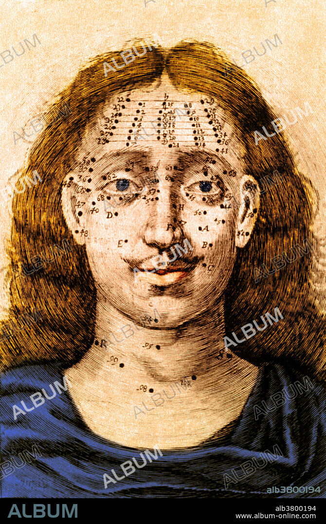 Illustration depicting the relationship between the location of moles on a person's face and their divination or meaning for that person's destiny.