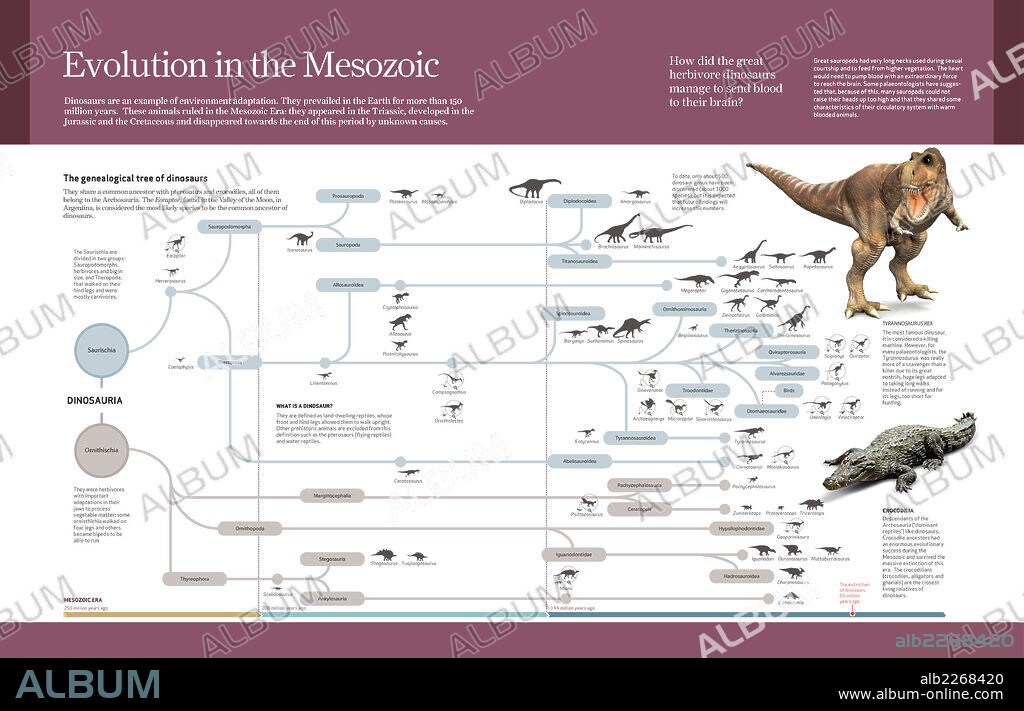 La evolución en el Mesozoico. Infografía de la clasificación de los dinosaurios y su evolución durante el Mesozoico.