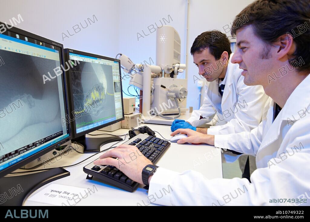 Analysis of nanostructures and nanodevices using SEM, Environmental scanning electron microscopy Laboratory, ESEM, Microscope Quanta TM 250 FEG, High-resolution surface imaging, Investigation of wet and dielectric samples, Nanofluidic phenomena, Surface chemintry in various gas mixtures, CIC nanoGUNE, Nanoscience Cooperative Research Center, San Sebastian, Donostia, Gipuzkoa, Euskadi, Spain.