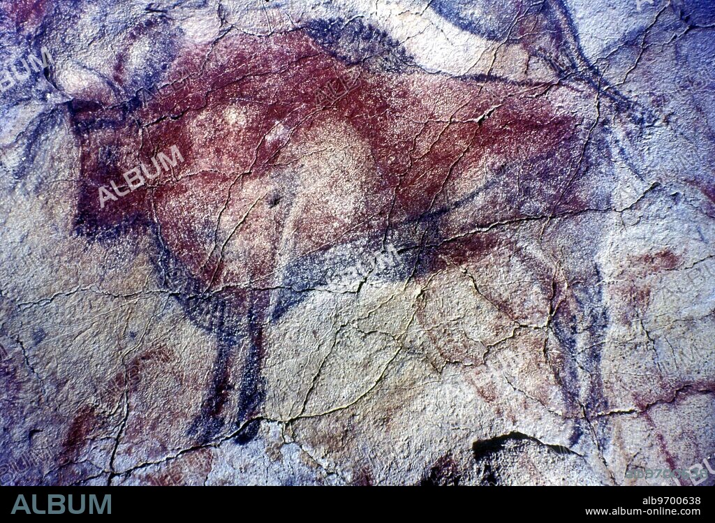 Cave painting of Bison, Altamira Caves, Nr Santander, Northern Spain.