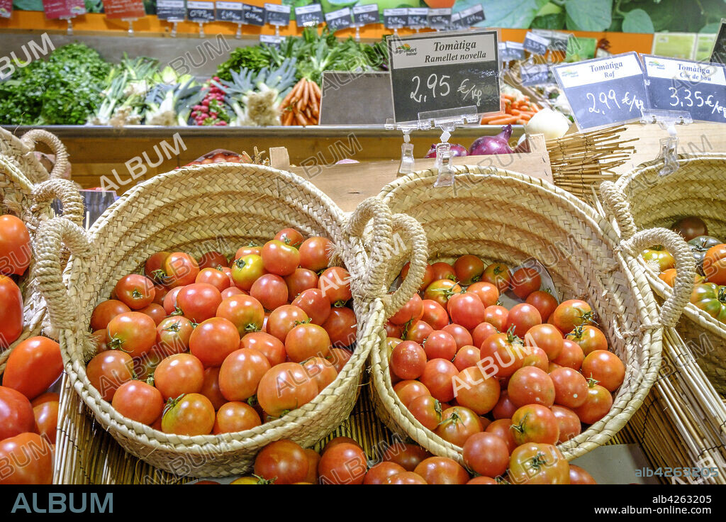 Majorcan Ramallet tomato, Agromart, Porreres, Mallorca, Balearic Islands, Spain, Europe.