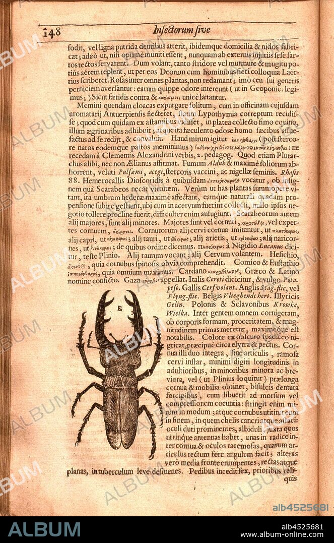 Scarabeus 1, Beetle, p. 148, 1634, Thomas Moffet, Edward Wotton, Konrad Gessner, Thomas Penny: Insectorum sive minimorum animalium theatrum: olim ab Edoardo Wottono. Conrado Gesnero. Thomaque Pennio inchoatum: tandem Tho. Moufeti Londinatis opera sumptibusque maximis concinnatum auctum, perfectum [....]. Londini: ex officina typographica Thom. Cotes et venales extant apud Guiliel. Hope, ad insigne chirothecæ, prope regium excambium, 1634.