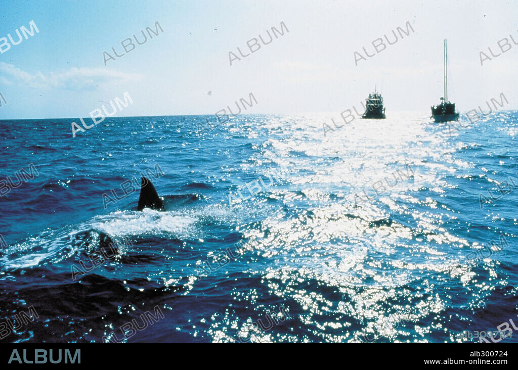 DENNIS QUAID en TIBURON 3-D, 1983 (JAWS 3-D), dirigida por JOE ALVES. Copyright UNIVERSAL PICTURES.
