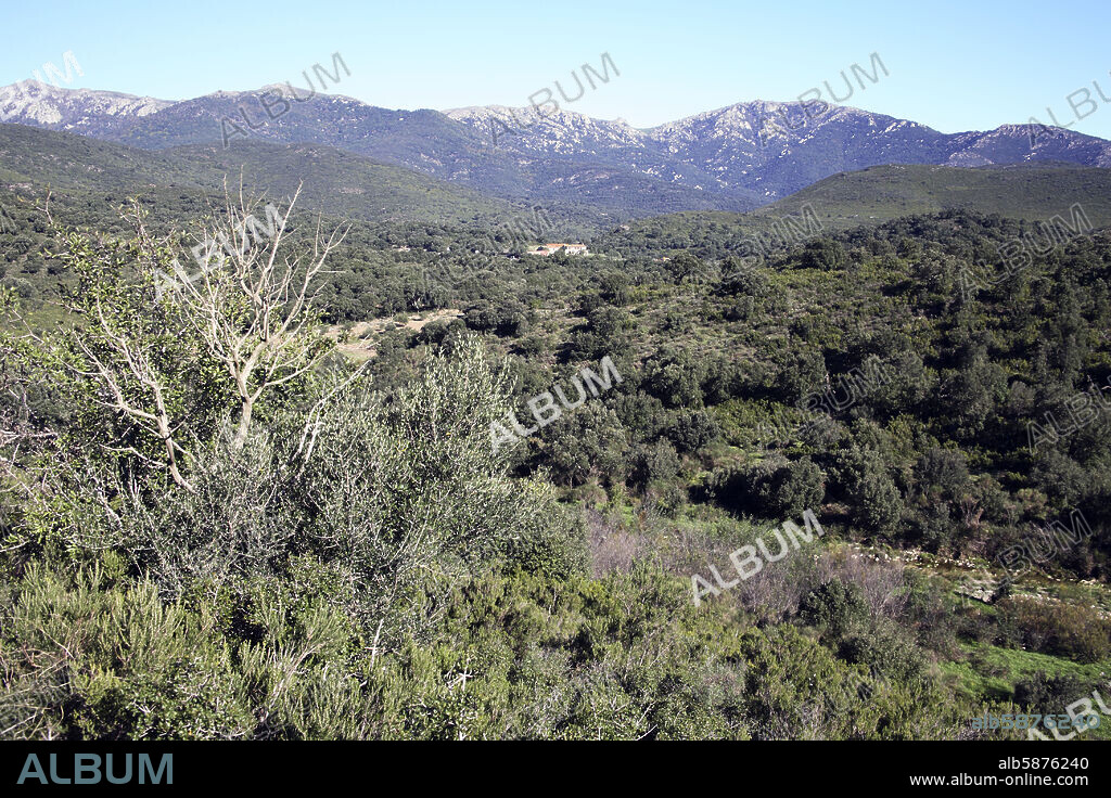 Parque / Parc Natural de la Sierra / Serra l' Albera.