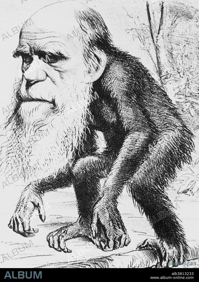 Charles Darwin's ideas challenged conventional notions and were inevitably lampooned by the cartoonists of the day. On March 22nd, 1871, a satirical magazine "The Hornet" portrayed Darwin as a "Venerable Orang-Outang", subtitling the cartoon a "Contribution to Unnatural History". Charles Robert Darwin (1809-1882) was an English naturalist. He established that all species of life have descended over time from common ancestry, and proposed the scientific theory that this branching pattern of evolution resulted from a process that he called natural selection. His seminal works: On the Origin of Species (1859) his theory with compelling evidence for evolution. The Descent of Man (1871) he examined human evolution and sexual selection and The Expression of the Emotions in Man and Animals (1872) one of the most enduring contributions from 19th century psychology.