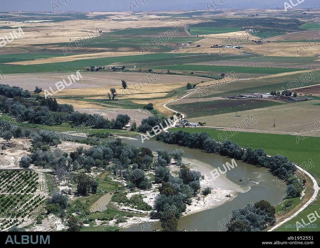 Panorámica del PAISAJE AGRICOLA y, en primer término, curso del RIO GUADALQUIVIR. Arededores de Almodóvar del Río. Provincia de Córdoba. Andalucía. España.