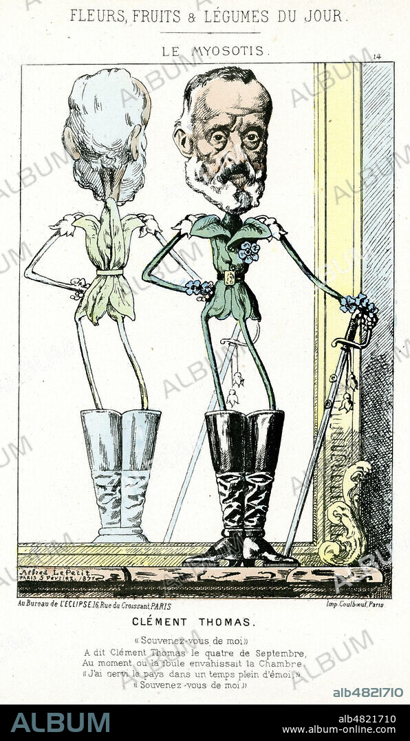'Le myosotis : CLEMENT-THOMAS'. Illustration par Alfred LE PETIT (1841-1909) pour l'album 'Fleurs, fruits et legumes du jour' publie en 1871. Credit : Collection KHARBINE-TAPABOR.