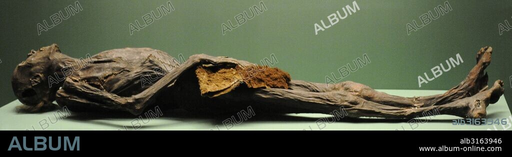 Pazyryk culture. Scythian Iron Age archaeological culture. 6th-3rd centures BC. Mummy of Pazyryk chief. Tattooed. 55 years old. V kurgan. Siberia. The State Hermitage Museum. Saint Petersburg. Russia.