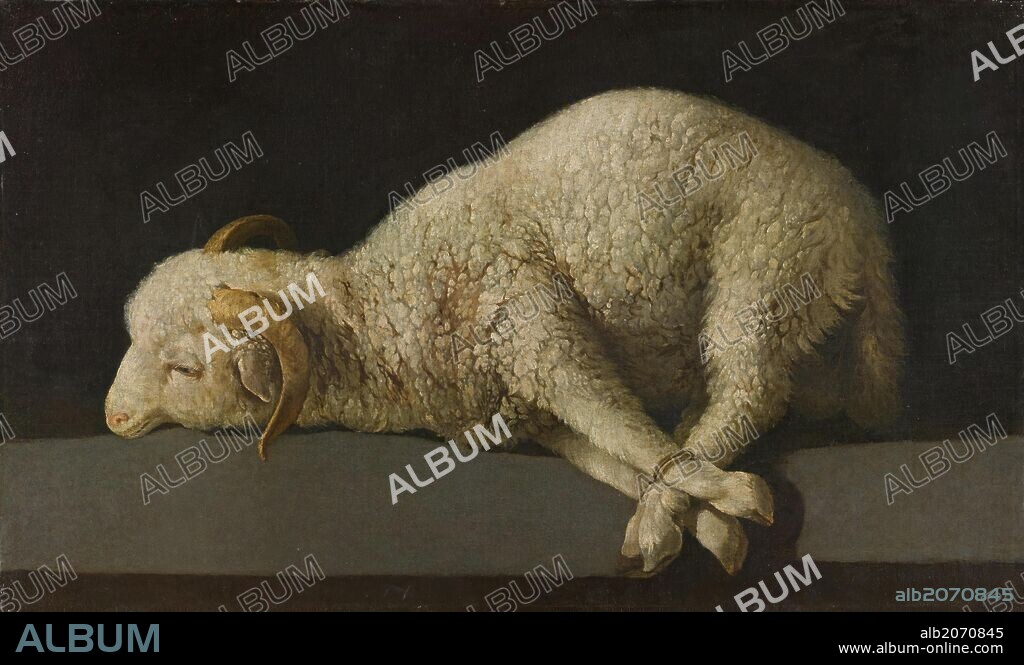 FRANCISCO DE ZURBARAN. Francisco de Zurbarán / 'Agnus Dei (The Lamb of God)', 1635-1640, Spanish School, Oil on canvas, 37,3 cm x 62 cm, P07293.