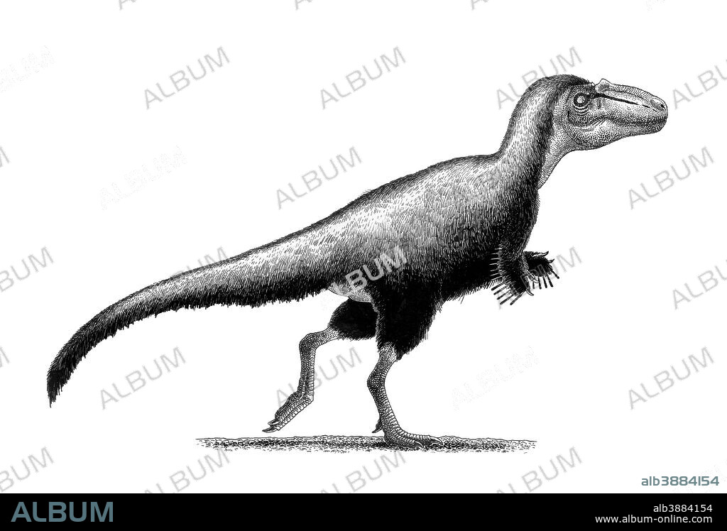 Black ink drawing of Teratophoneus curriei. Teratophoneus curriei was a tyrannosaurid theropod from the Late Cretaceous of USA.