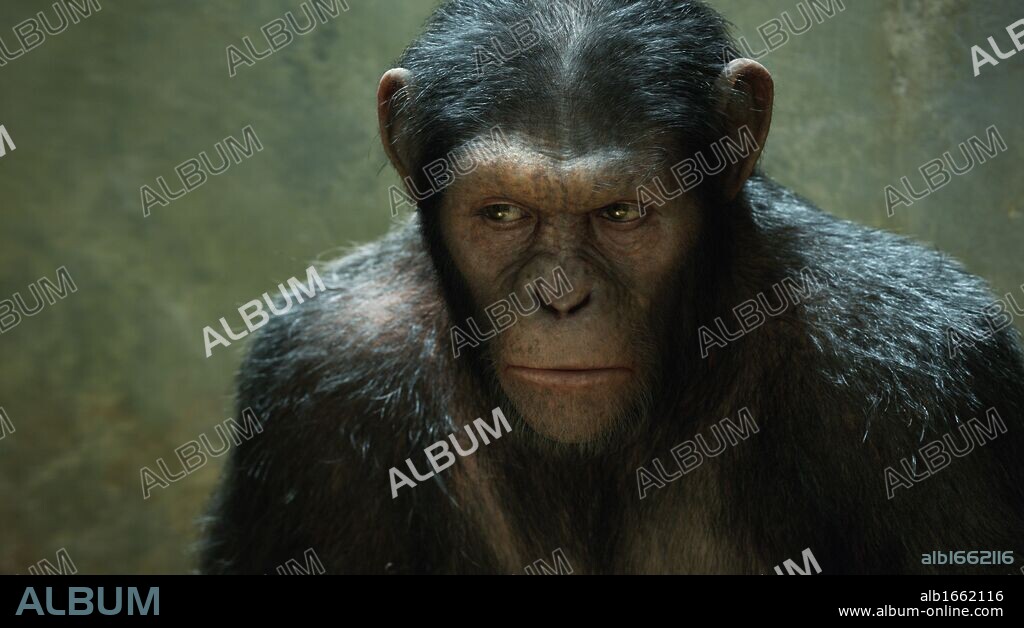 EL ORIGEN DEL PLANETA DE LOS SIMIOS, 2011 (RISE OF THE PLANET OF THE APES), dirigida por RUPERT WYATT. Copyright 20TH CENTURY FOX.