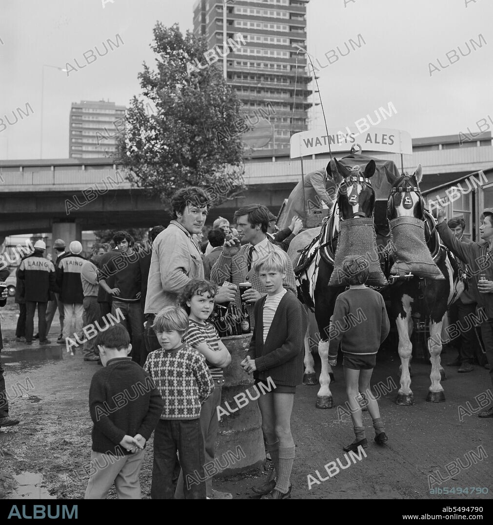 JOHN LAING PLC. Westway Flyover, A40, Kensington and Chelsea, London, 28/07/1970. Watney's dray horses eating from nosebags during the celebration for the opening of the Westway Flyover. Work on site for the Western Avenue Extension began on the 1st September 1966 and the Westway as it became known was officially opened on the 28th July 1970. The elevated highway connecting the A40 at White City to Marylebone Road in Paddington, at around 2 ½ miles was the longest in Europe. The construction was organised into six sections. Sections 1, 4, 5 & 6 formed the main flyover into central London with Sections 2 & 3 being the West Cross Route running south from the junction in Section 1 near Latimer Road to Shepherds Bush. This photograph was taken near grid reference TQ2357681100.