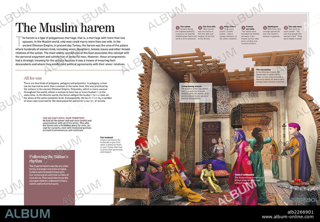 The Muslim harem. Infographic about the Muslim harem (1300) the group of all the women that live together with the sultan or the chief of the Muslim family.