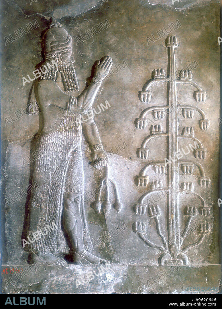 ANON. Stone relief of Sargon I standing before a tree of life, 24th-23rd century BC. Sargon I was the founder of the Akkadian Semitic dynasty. He ruled a kingdom centred on the city of Akkad in Mesopotamia from c2334-c2279 BC. From the Musee du Louvre, Paris.