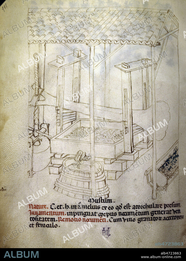 Pressoir a vin. Enluminure provenant du Tacuinum Sanitatis, au 15eme s (XVe, 15e s.). Manuscrit medieval conserve a la bibliotheque de l'Univ. de Liege. Credit Collection JEAN VIGNE/KHARBINE TAPABOR.