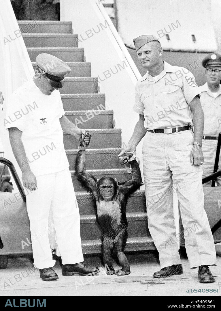 Enos arrives back at Patrick Air Force Base. Enos (d. November 4, 1962) was the 2nd chimp launched into space and the first chimp to achieve Earth orbit. Enos' flight occurred on November 29, 1961. His training was more intense for him than for his predecessor Ham, because Enos was exposed to weightlessness and higher gs for longer periods of time. His training included psychomotor instruction and aircraft flights. Enos died of shigellosis-related dysentery, which was resistant to then-known antibiotics. Pathologists reported no symptoms that could be attributed or related to his space flight.