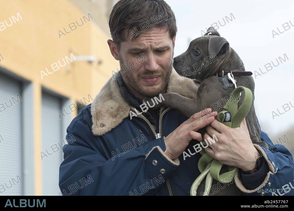 TOM HARDY in THE DROP, 2014, directed by MICHAEL R. ROSKAM. Copyright CHERNIN ENTERTAINMENT/FOX SEARCHLIGHT PICTURES.