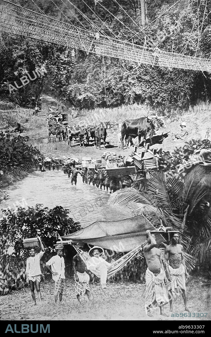 The old means of transport in the German colonies, suspension bridge in the jungle, ox cart in the steppe, carrier caravan in the interior and carrier hammock for Europeans, Africa, Historic, digitally restored reproduction of an original artwork from the early 20th century, exact original date not known.