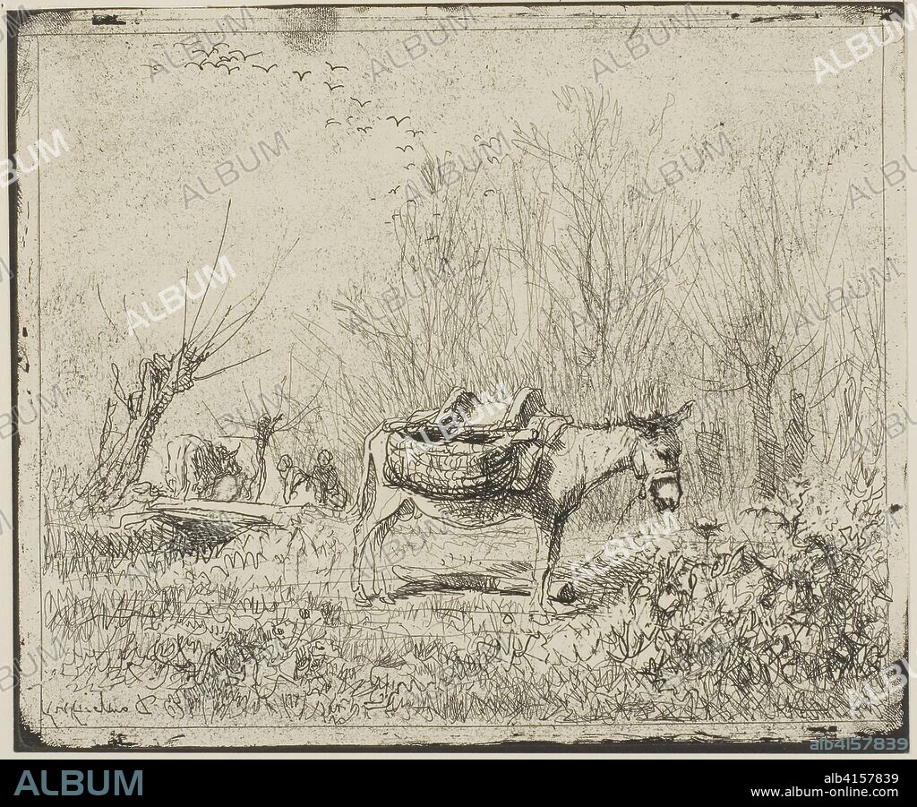 CHARLES FRANCOIS DAUBIGNY. The Donkey in the Meadow. Charles François Daubigny; French, 1817-1878. Date: 1862. Dimensions: 156 × 190 mm (image); 167 × 207 mm (sheet). Cliché-verre on ivory photographic paper. Origin: France.