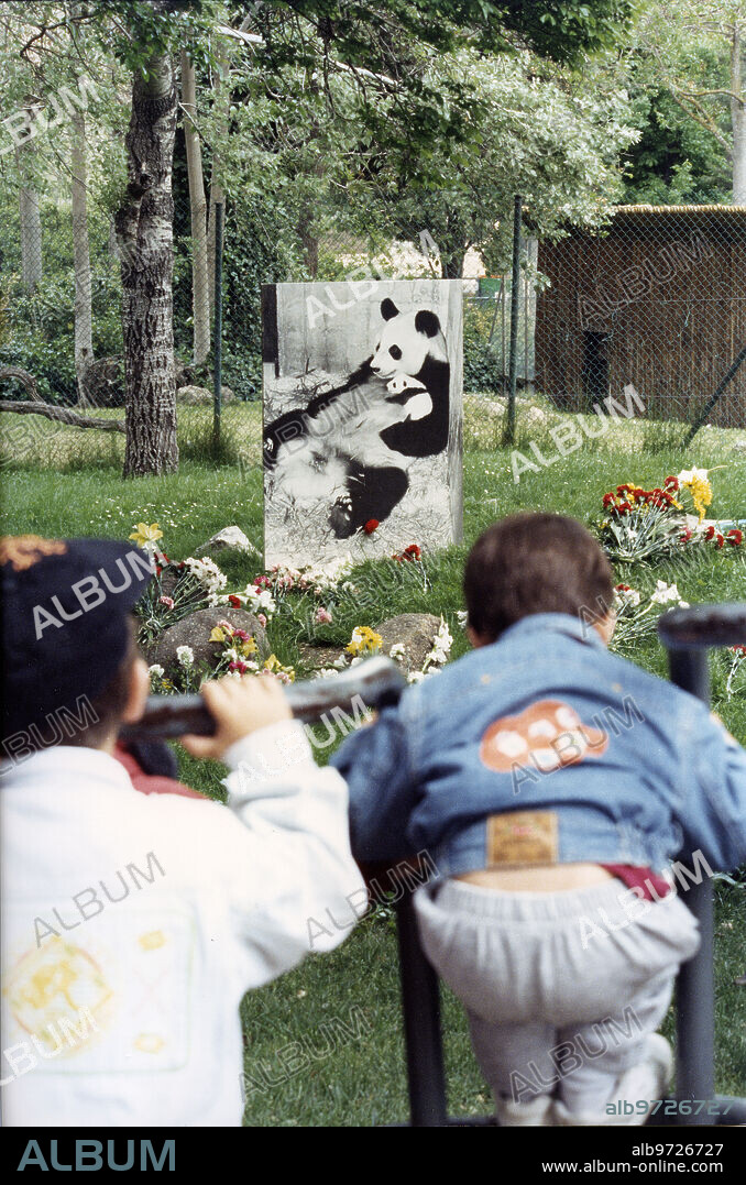 Madrid, abril de 1996. En el zoológico de la Casa de Campo. Muere el oso panda Chu Lin.