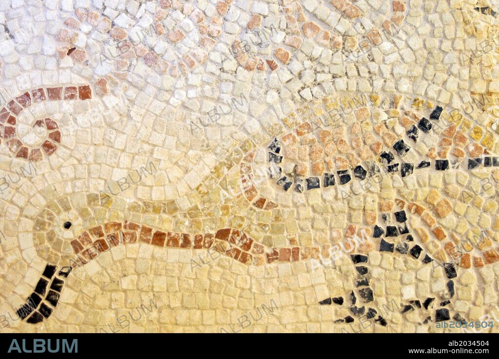 Mosaico paleocristiano, encontrado en la basilica de L´illa del Rei.Museo de Menorca. Maó.Baleares.España.