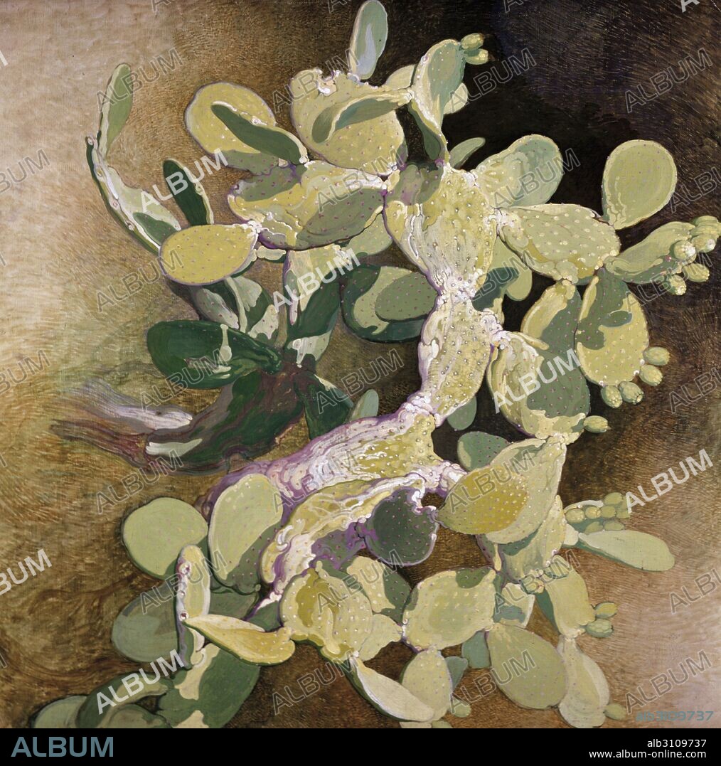 NÉSTOR MARTÍN-FERNÁNDEZ DE LA TORRE. Nopal.