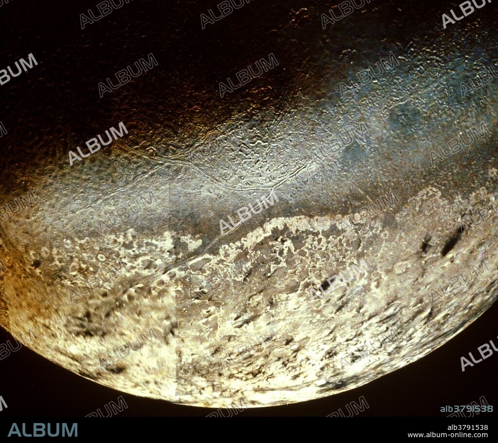 Triton is the largest of Neptune's seven satellites. It was discovered in 1846 weeks after the discovery of Neptune itself by William Lassell. Triton's orbit is retrograde. It is the only large moon in the solar system to orbit backwards. The most interesting feature of this satellite are its ice volcanoes probably composed of nitrogen, dust, or methane compounds from beneath its surface. Triton, Io, Venus, and the Earth are the only solar bodies that exhibit volcanic activity. Almost all that is known about Triton comes from Voyager 2 which encountered the moon on August 25, 1989.