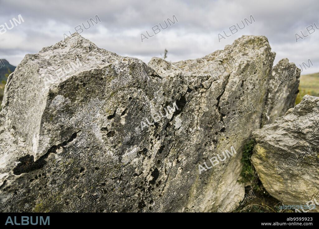 inscripcion circular, Dolmen de la Capilleta, III milenio antes de Cristo, ruta de los megalitos del alto Aragon, Paúles de Sarsa, Provincia de Huesca, Comunidad Autónoma de Aragón, cordillera de los Pirineos, Spain, europe.