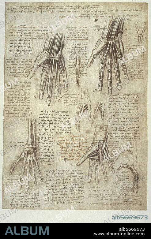 Leonardo da Vinci 1452-1519. Anatomiestudien: Knochen der Hand. Feder in brauner Tusche, laviert, über Spuren schwarzer Kreide. 288 × 202 mm. Atlas der anatomischen Studien, fol. 143 r. (R.L. 19009r). Windsor, Castle, Royal Library.