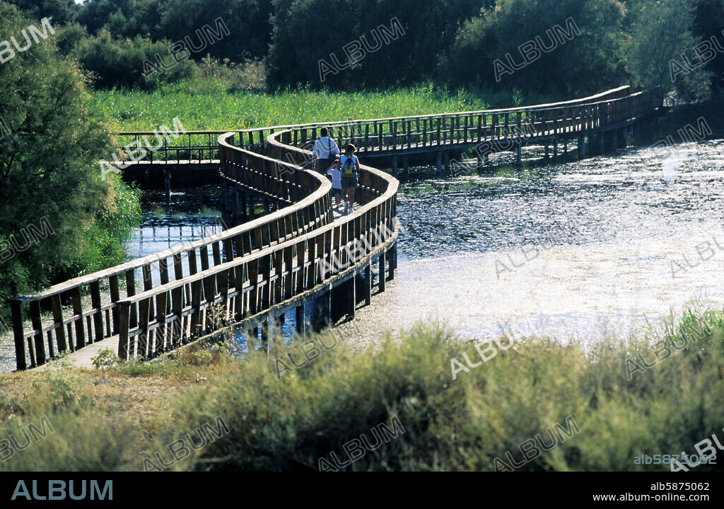 Parque Nacional de las / Tablas de Daimiel National Park; footbridge over the lagoons.