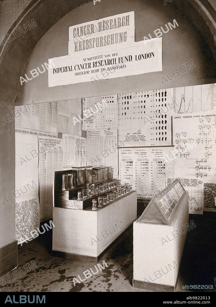 International Hygiene Exhibition, Dresden, 1911, the Imperial Cancer Research Fund, London, exhibition with laboratory samples and diagrams. Photograph by Martin Herzfeld in 1911, Saxony, Germany, Historic, digitally restored reproduction from an 18th or 19th century original