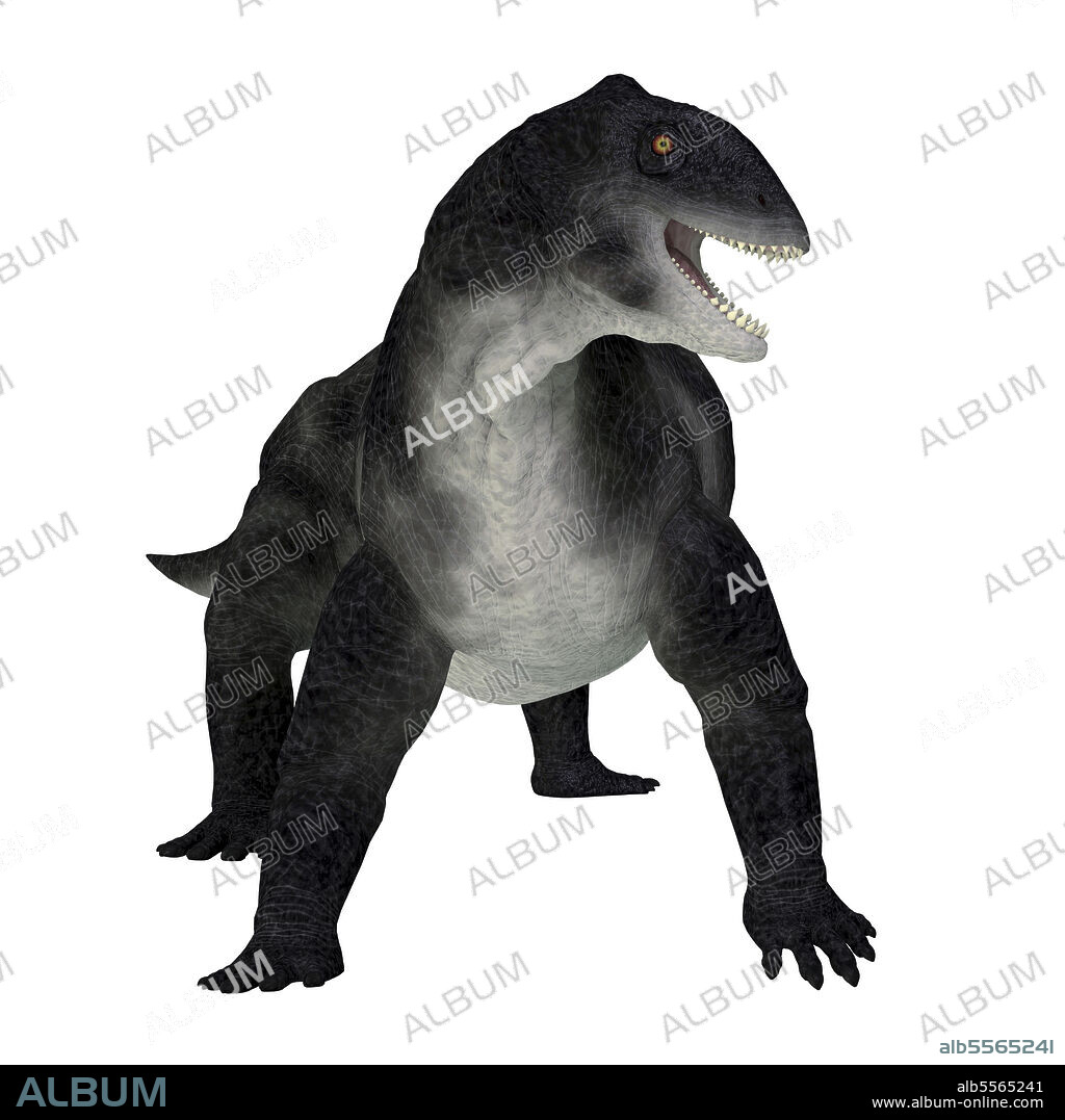 Delphinognathus prehistoric synapsid, front view on white background. Delphinognathus was a synapsid herbivorous animal that lived in South Africa during the Permian Period.
