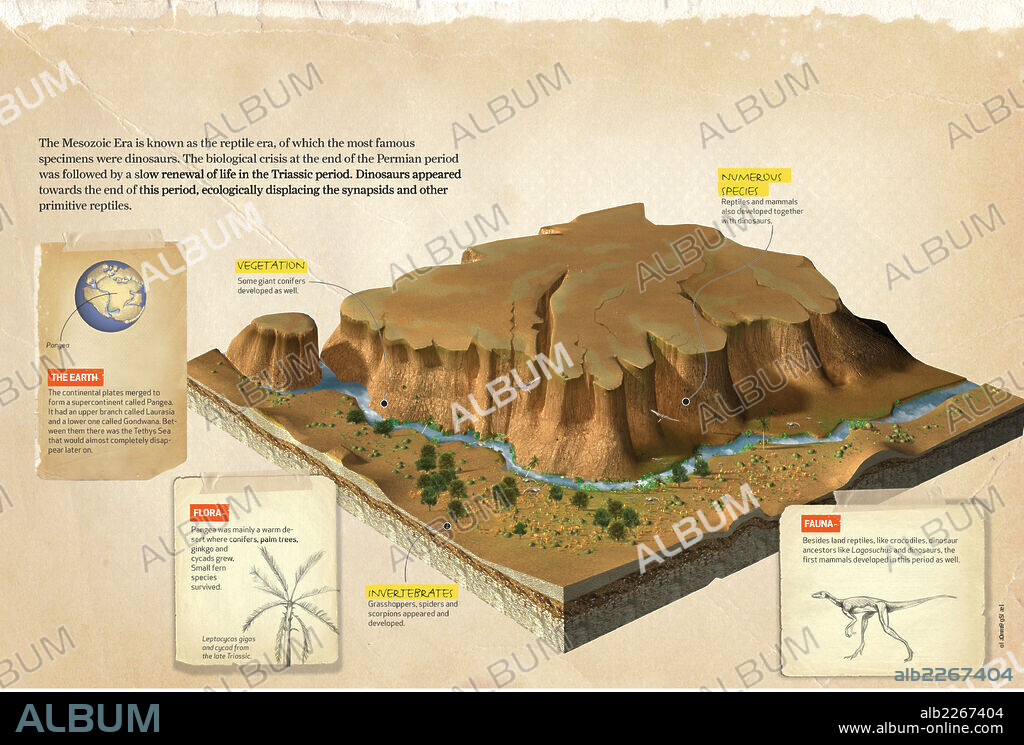 período Triásico. Infografía sobre el período Triásico, perteneciente al Mesozoico, en el cual aparecieron los dinosaurios, los mamíferos y algunos invertebrados.