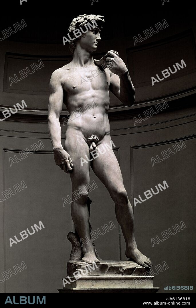 MICHELANGELO. DAVID 1501-1504 - RENACIMIENTO ITALIANO.