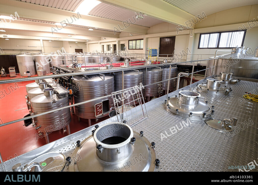 Miquel Oliver Wineries, Petra, Mallorca, Balearic Islands, Spain, Europe.
